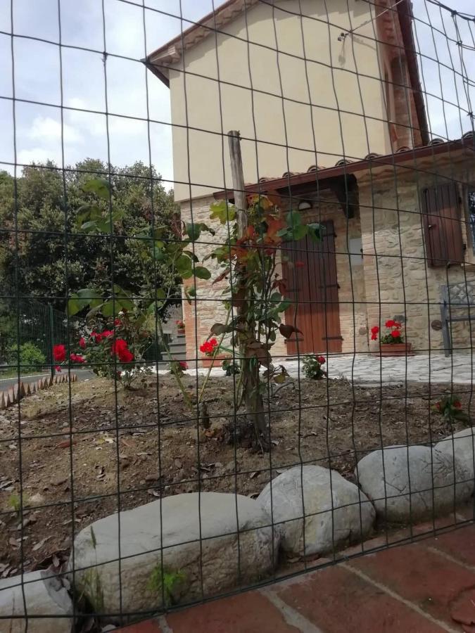 La Casetta Della Letizia Colle  エクステリア 写真